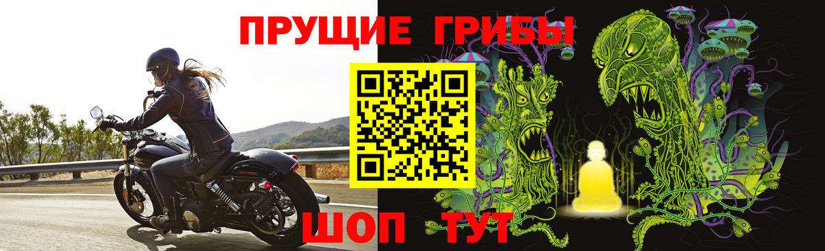 Псилоцибиновые грибы прущие грибы Белая Калитва